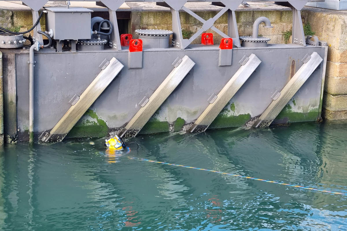 recovery and salvage